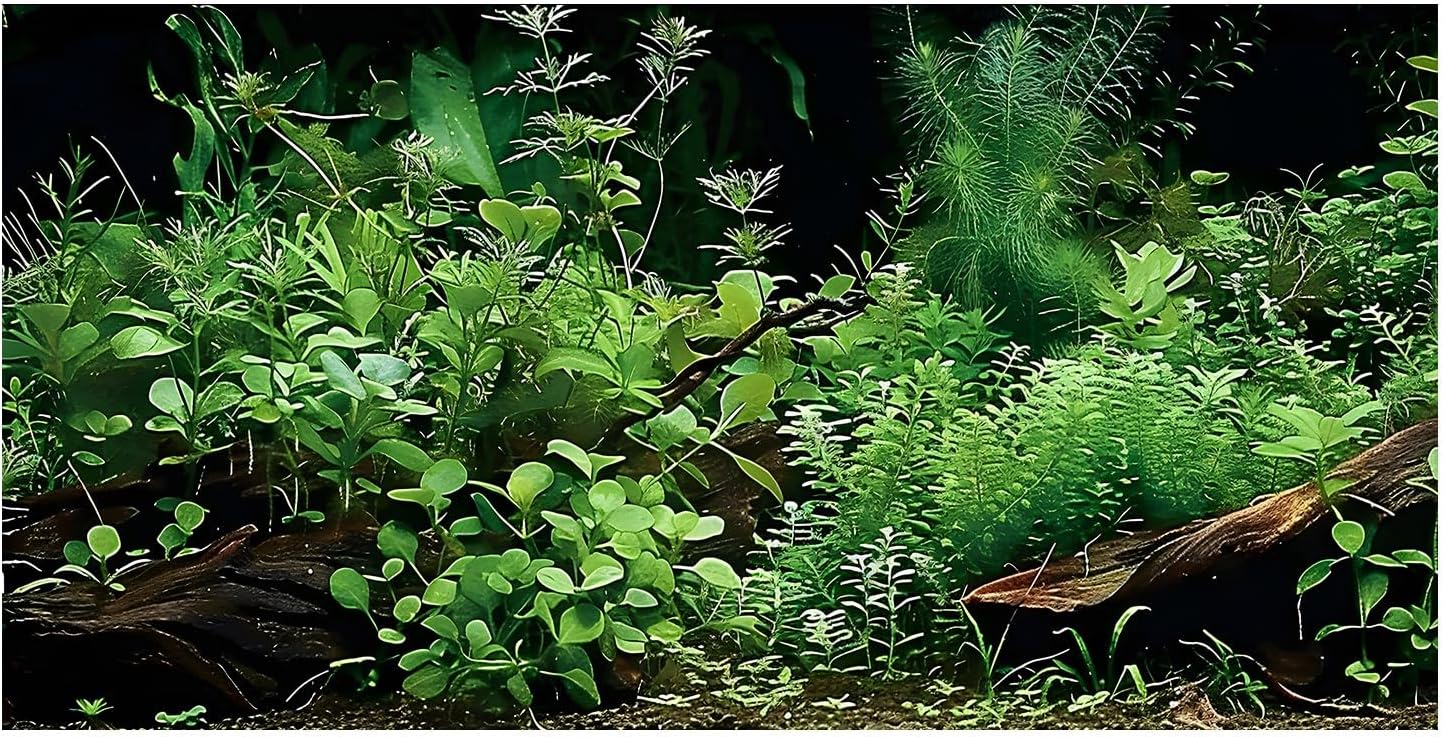 Anti glare reusable reptile terrarium background foliage pattern