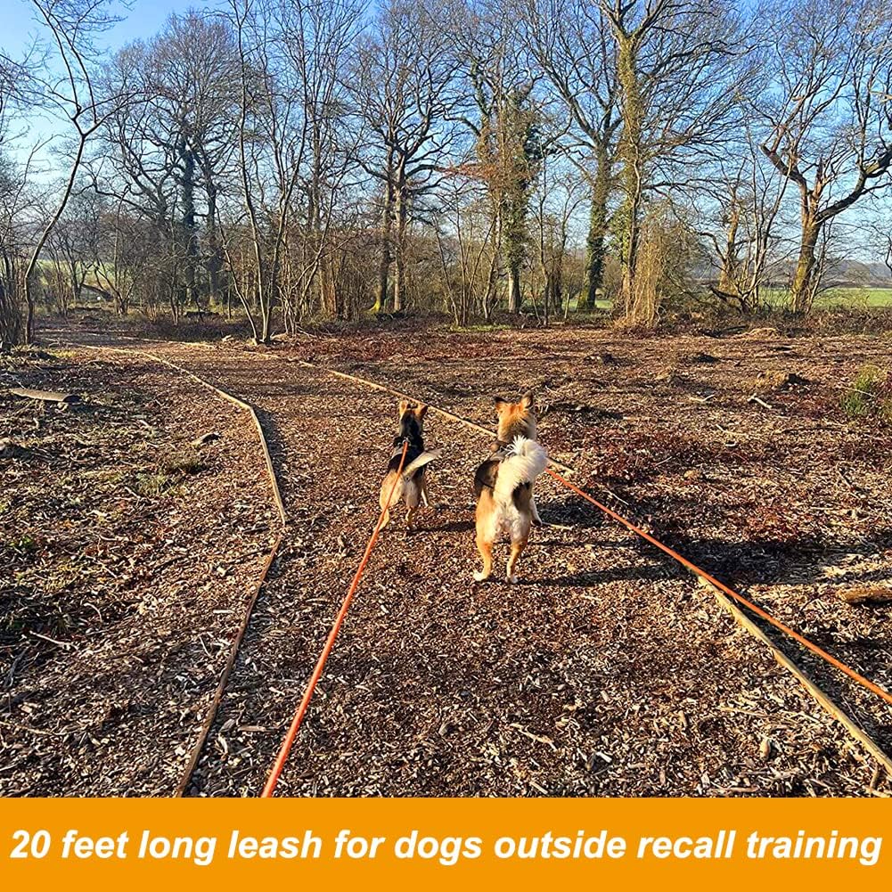 Vivifying professional dog obedience recall lead with comfortable handle