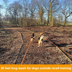 Vivifying professional dog obedience recall lead with comfortable handle