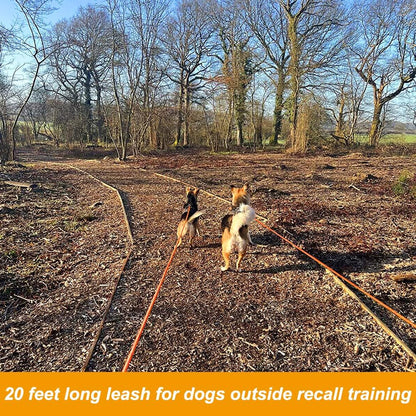 Vivifying professional dog obedience recall lead with comfortable handle