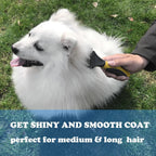 Side profile of Pet Republique dog and cat dematter
