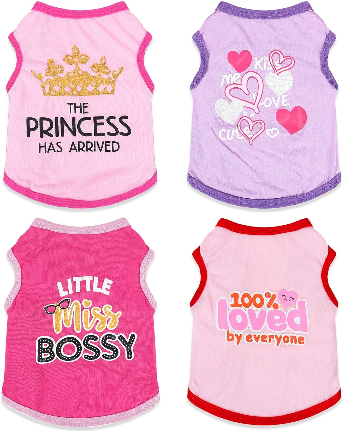 Generic 4 piece dog clothes set for small girl dogs front view