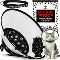 Kedi Cats Solutions recovery kit front view with vest and cone