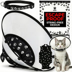 Kedi Cats Solutions recovery kit front view with vest and cone