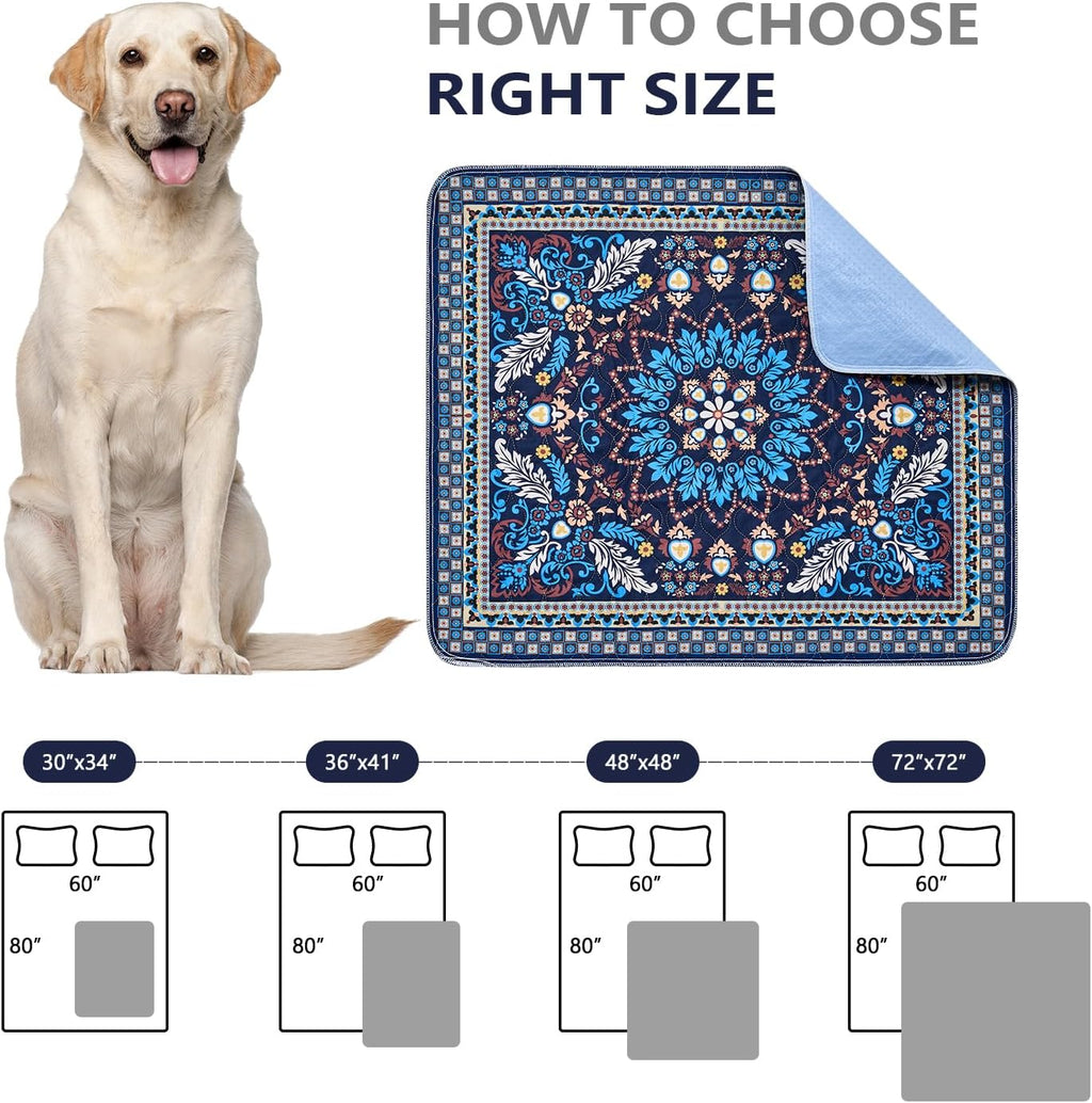 Two pack set of Qeils absorbent dog training pads