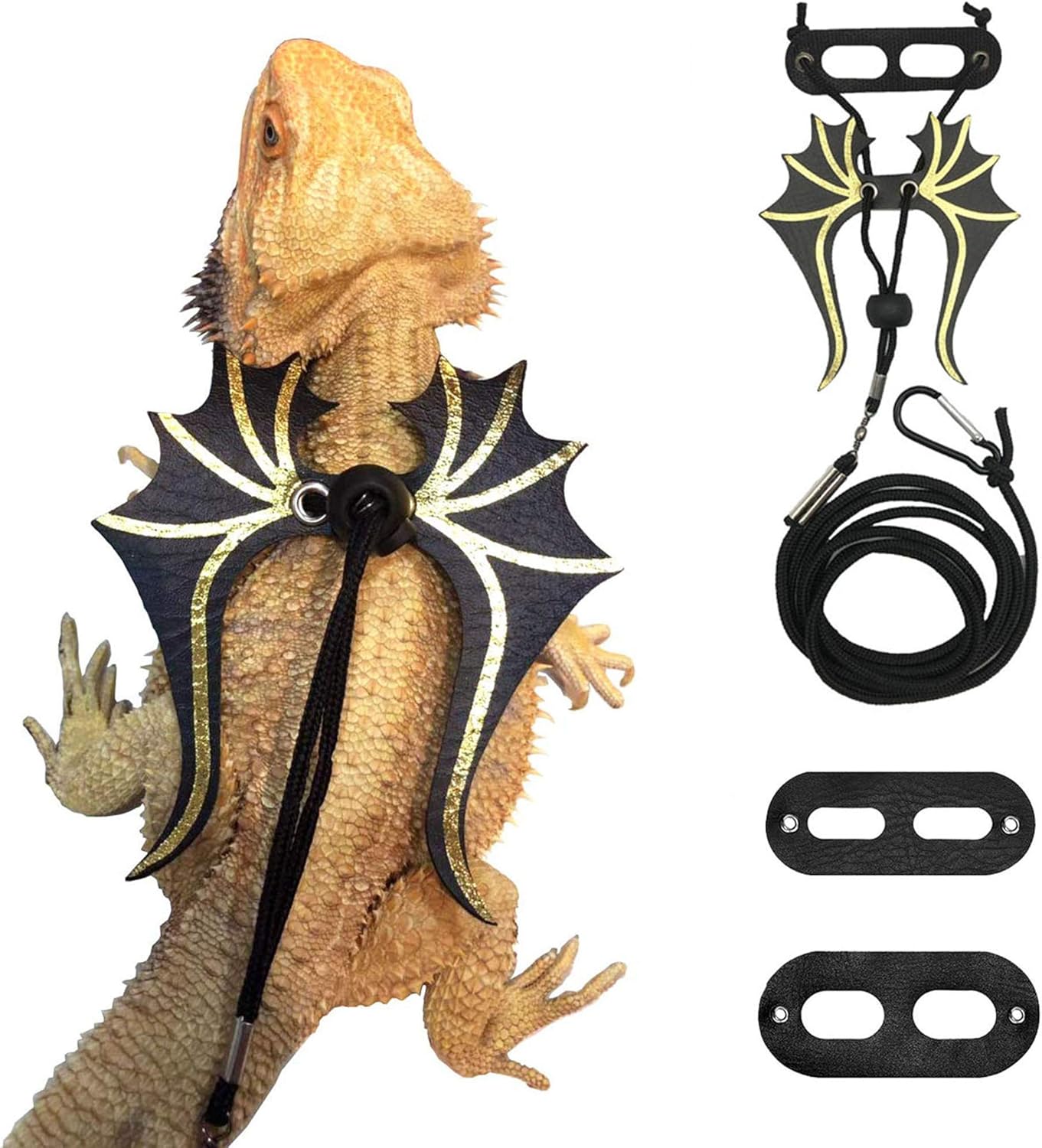 Adoggygo bearded dragon lizard leash harness front view with dinosaur wings