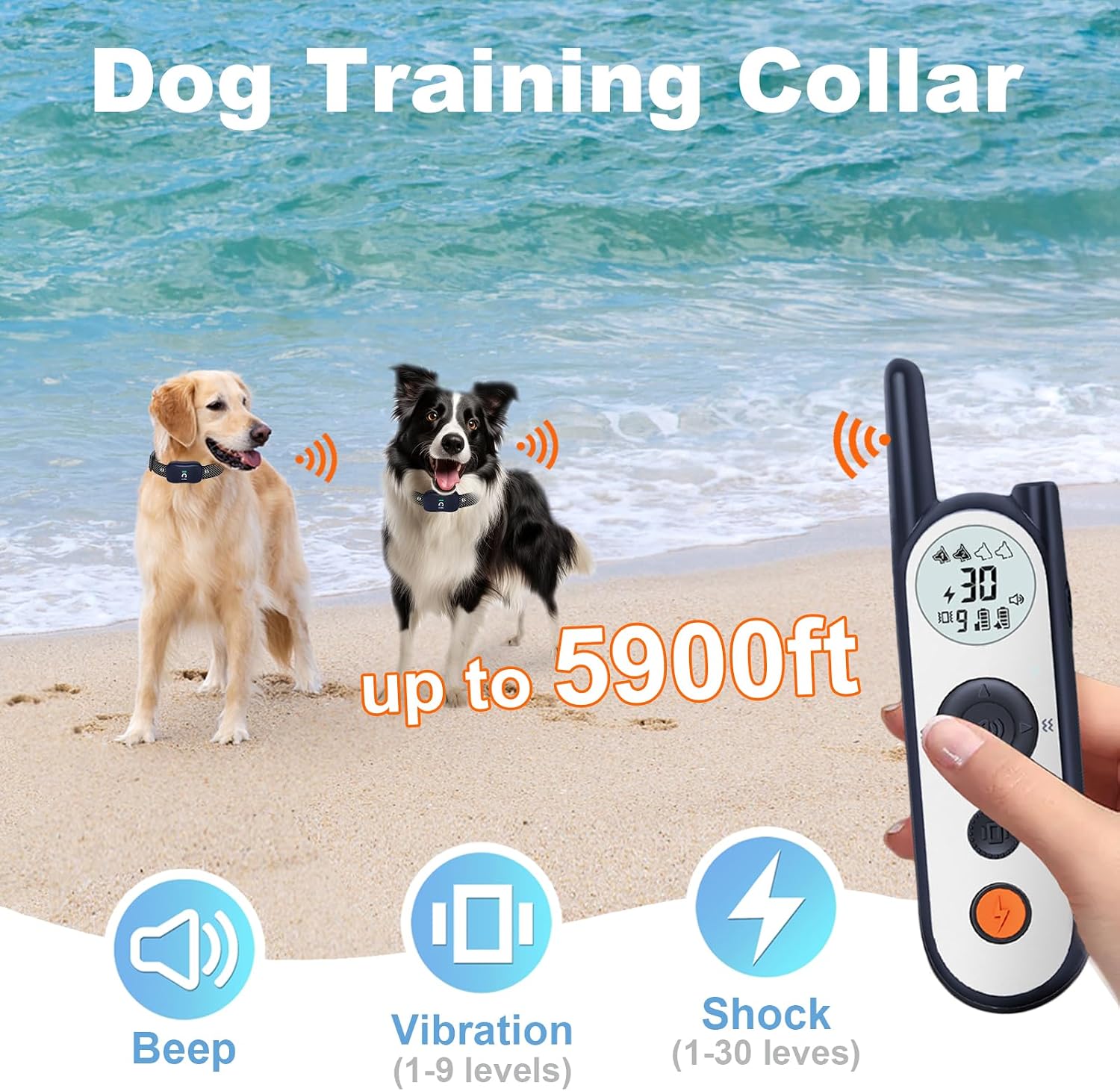 Two adjustable waterproof electric dog collar receivers for dual pet training.
