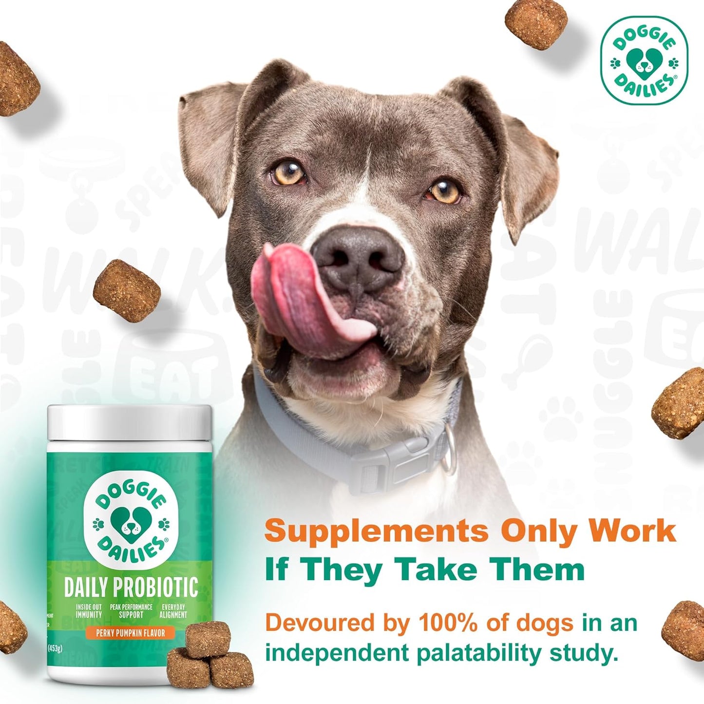 Doggie Dailies pumpkin flavored soft chews supplement jar side label