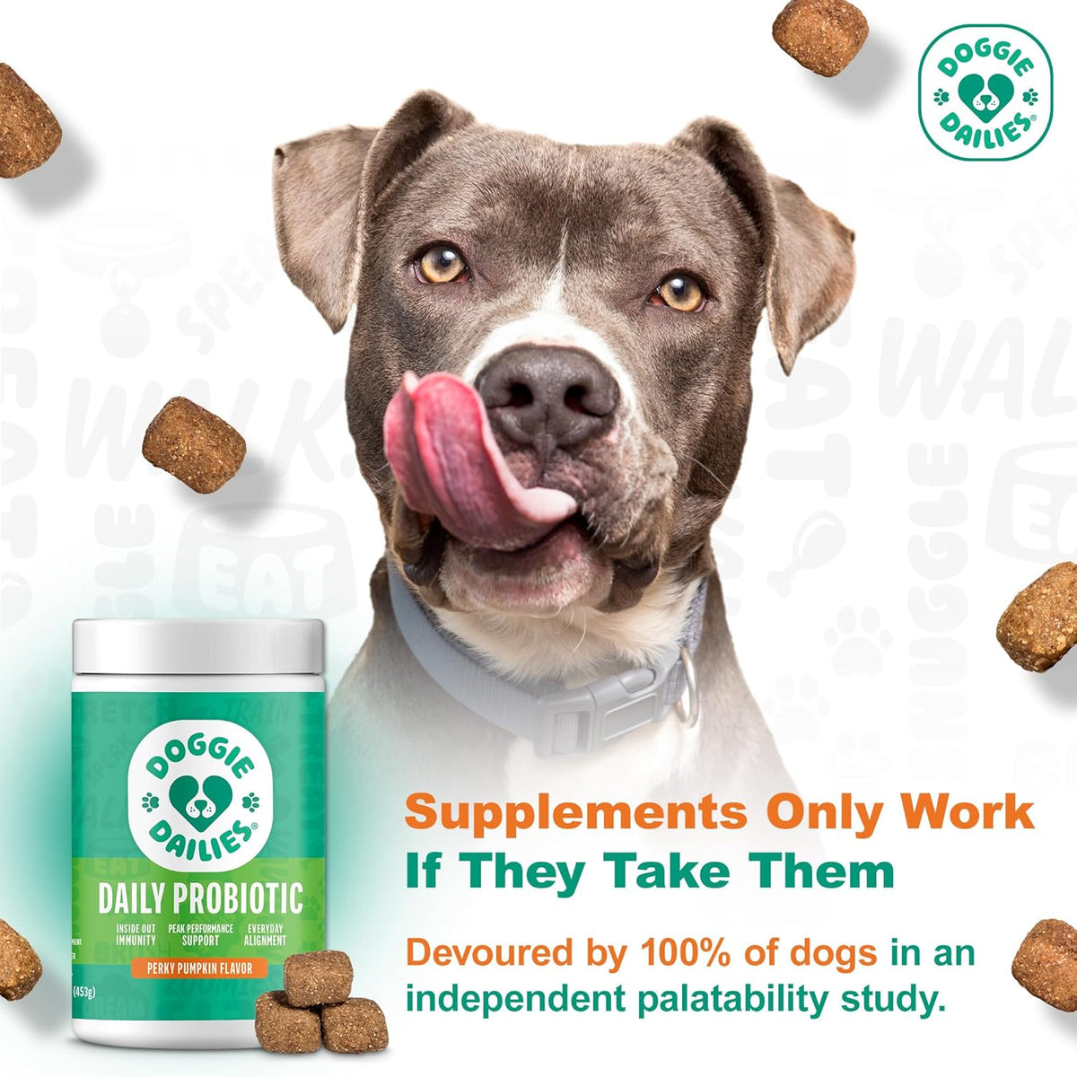 Doggie Dailies pumpkin flavored soft chews supplement jar side label