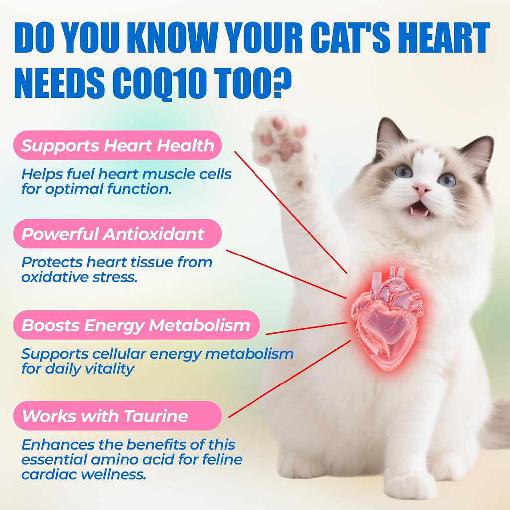 Heart shaped chicken flavored cat treats for cardiovascular support