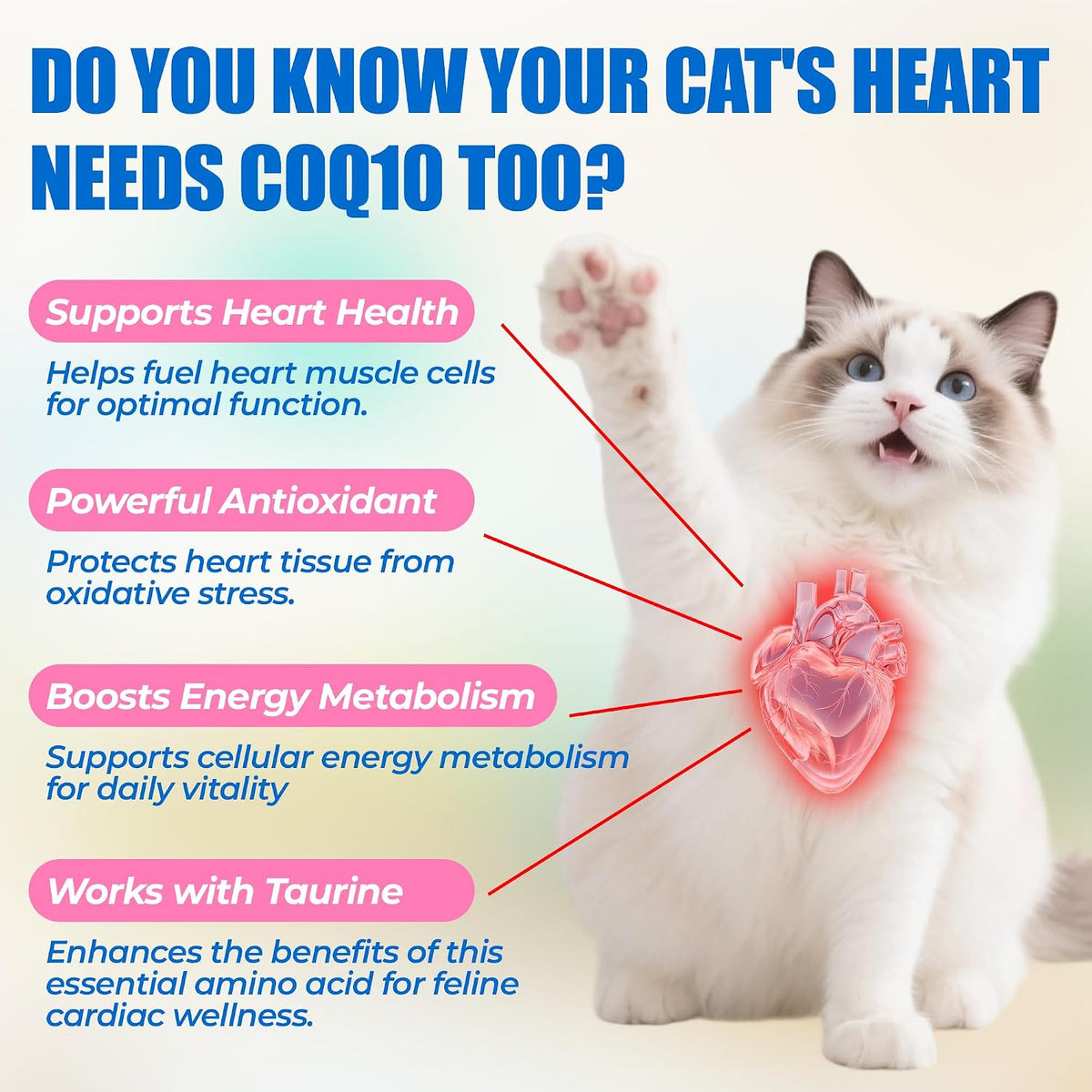 Heart shaped chicken flavored cat treats for cardiovascular support