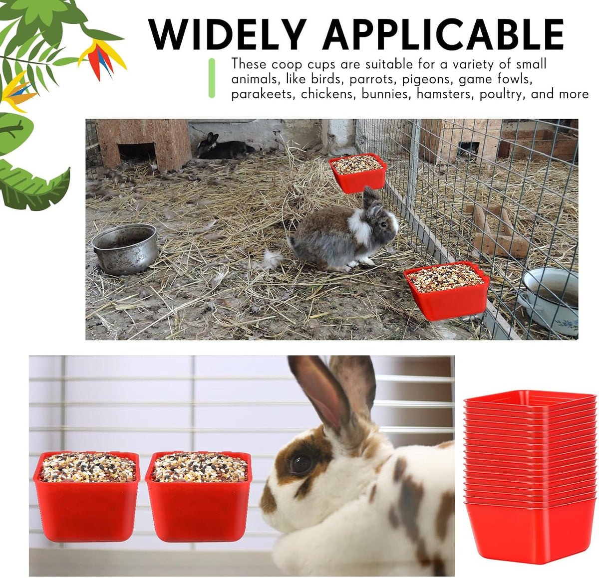 Multiple Maxdot animal feeding cups arranged for poultry coops