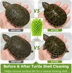 Red Eared Slider turtle rubbing against a tank mounted scratching brush