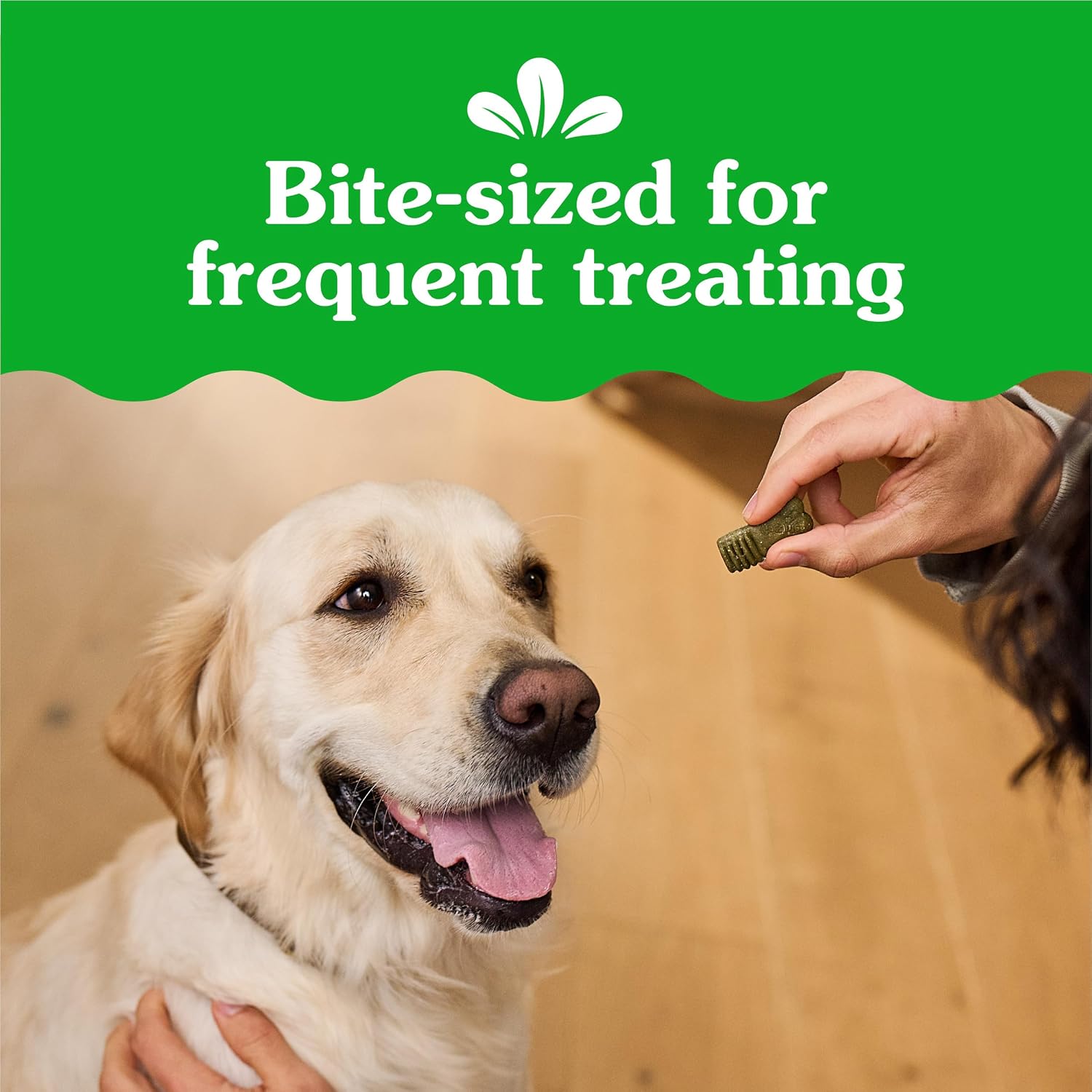 Authentic Greenies daily pet treats 10.3 Ounce bag back view