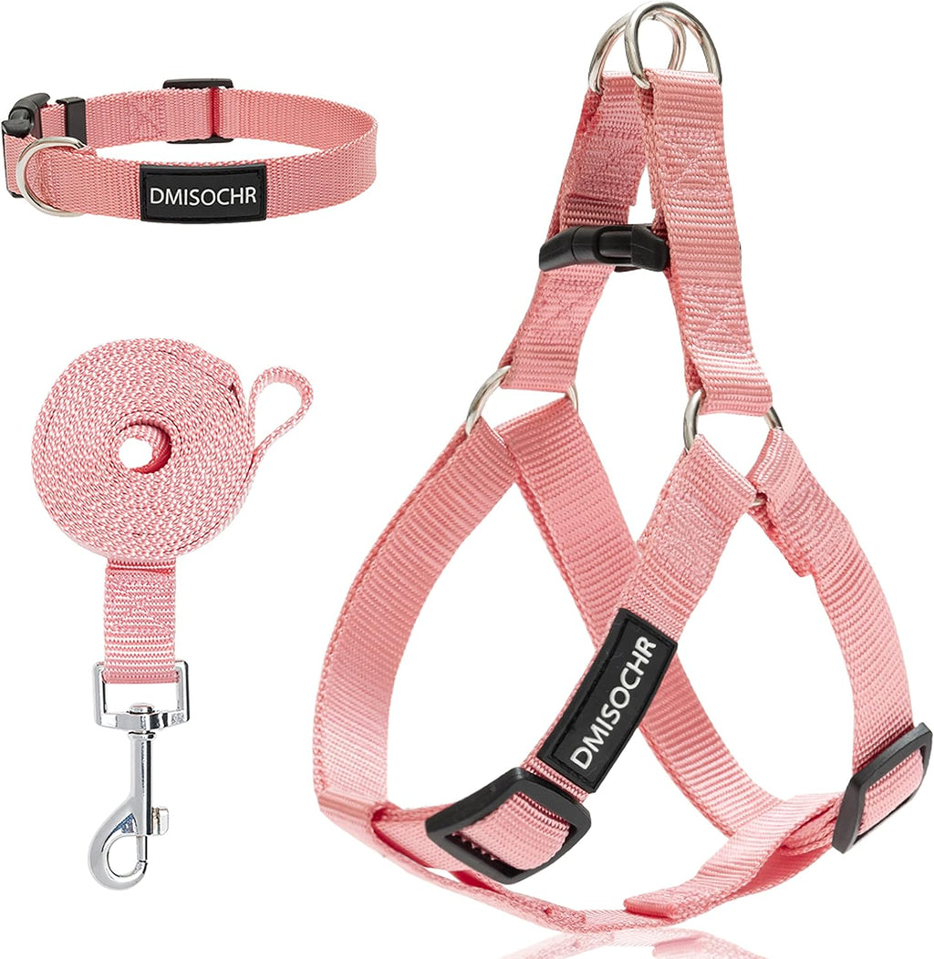 Metal hardware on Ipravoci leash and harness set