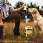 Grain free freeze dried quail egg yolk pet food topper