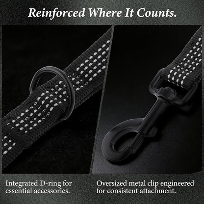 APAKBAK reflective dog leash highlighting the double sided safety stitching in low light.