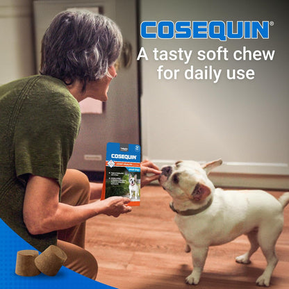 Nutramax Laboratories joint support chews for small dogs under twenty five pounds.
