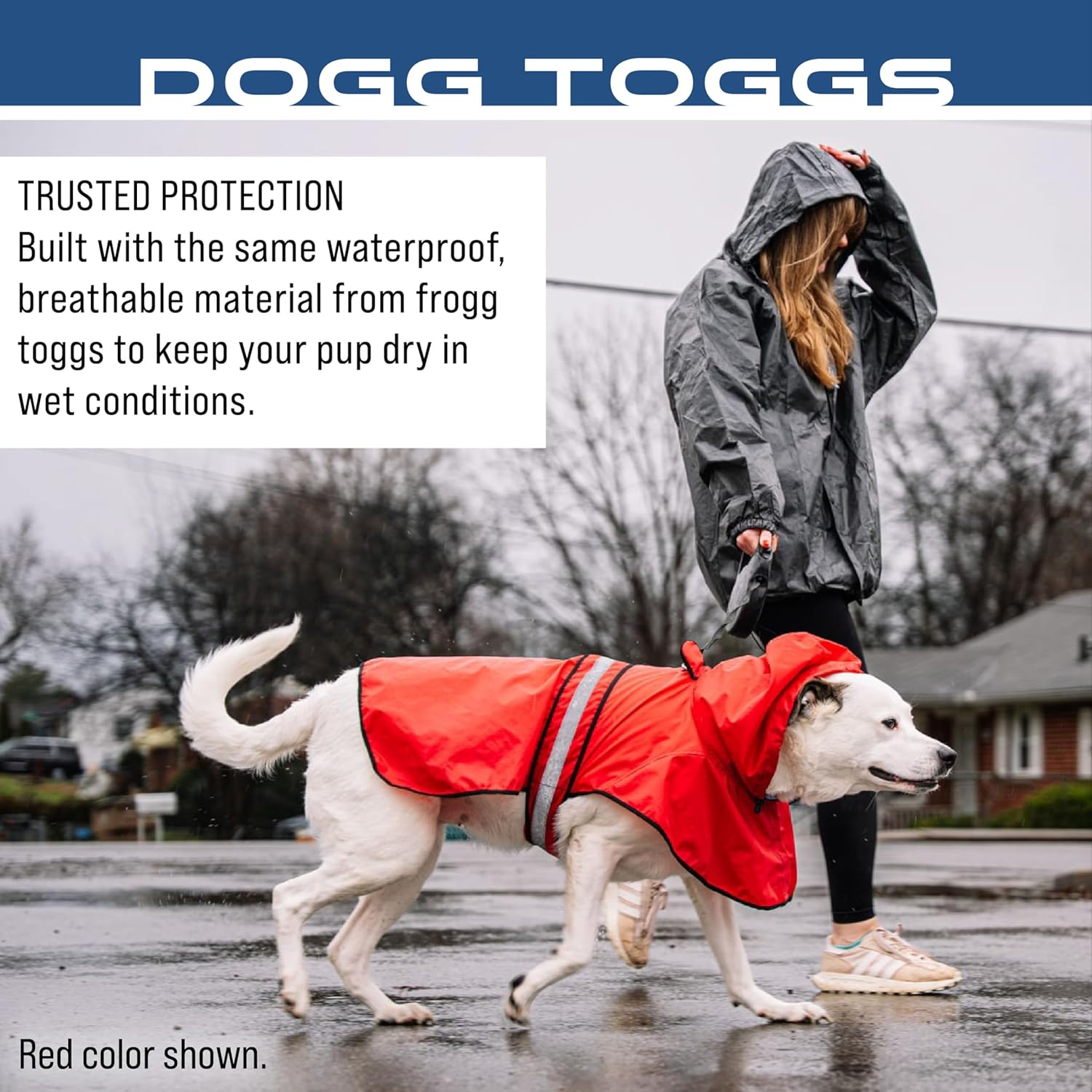 Frogg Toggs large dog raincoat displaying the adjustable hood and secure barrel lock toggles.