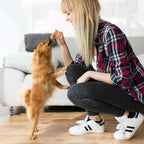 Authentic imported pet snacks for small breed puppies and dogs