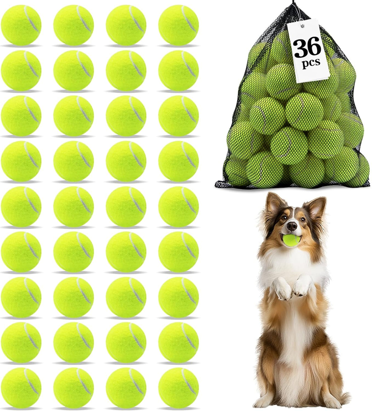 Magicorange Dog Balls, Tennis Balls for Dogs,Colorful Easy Catching Pet Playing Ball (Multicolor, 4 Pack) - Image 10