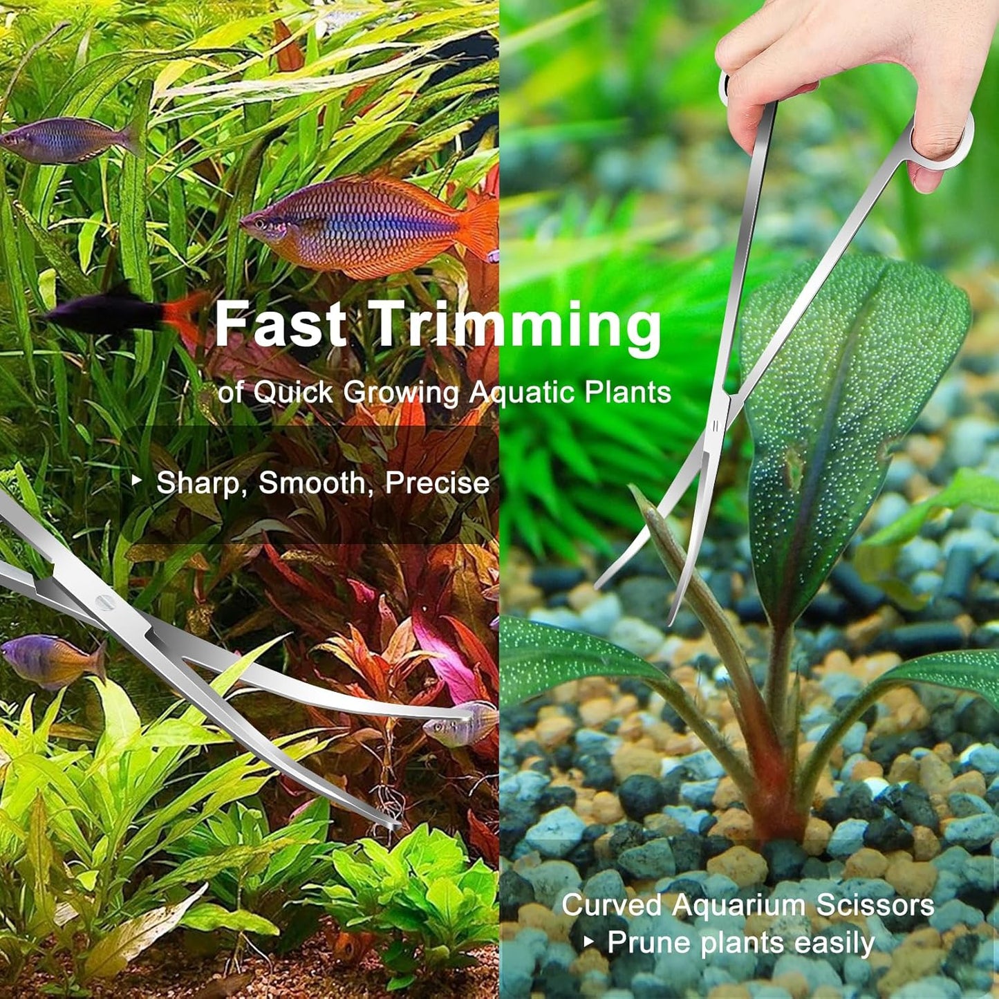 Jeimier double sided substrate spatula flattening sand and gravel in a planted aquarium