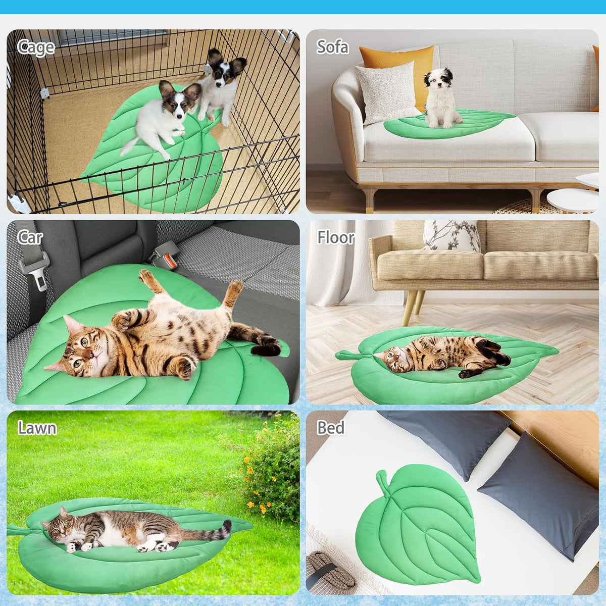 KOOLTAIL leaf shaped cat cooling pad inside a pet crate