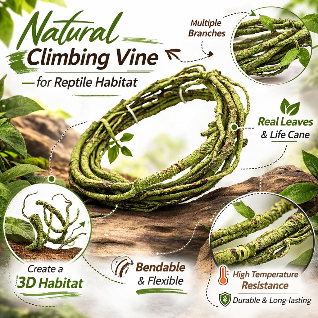 Hercocci flexible jungle climber set in terrarium