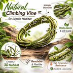 Hercocci flexible jungle climber set in terrarium