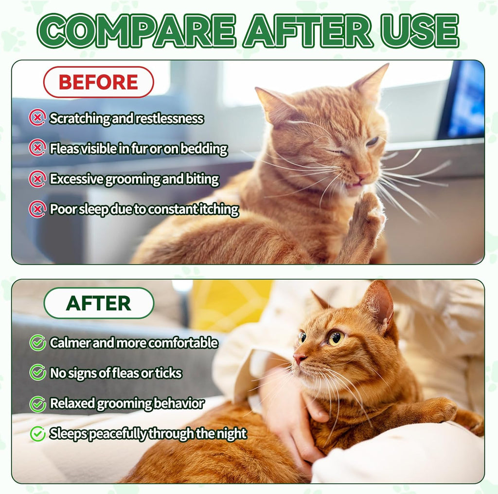 Chemical free flea defense drops for all cat breeds lifestyle shot