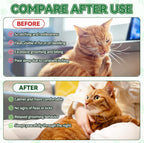 Chemical free flea defense drops for all cat breeds lifestyle shot