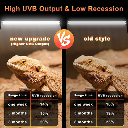 Lucky Herp UVA UVB reptile lighting setup for tortoises and chameleons.