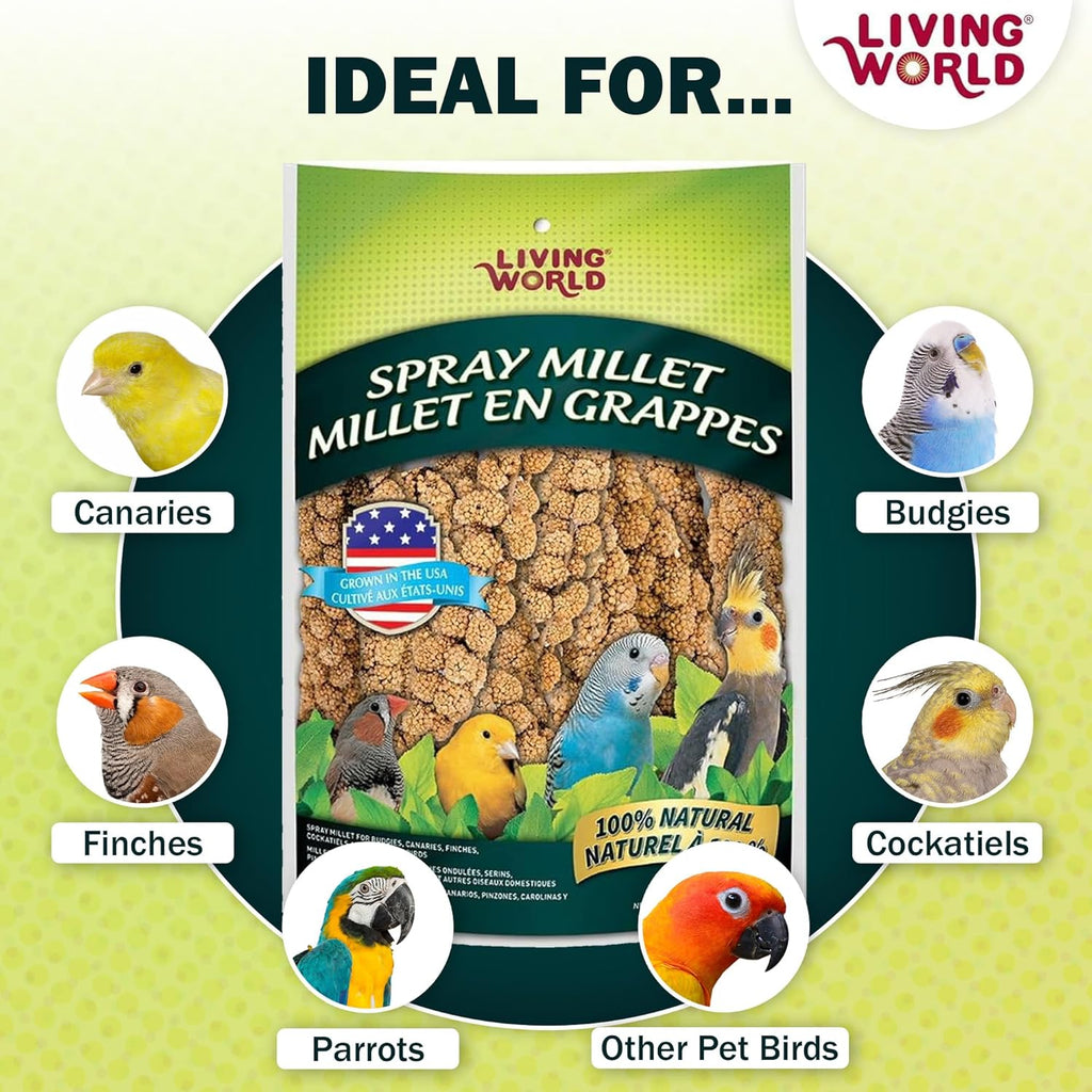 Living World millet spray for birds close up of seeds