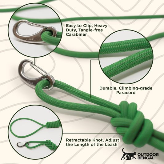 Close up of rust-free egg-shaped carabiner on pet leash