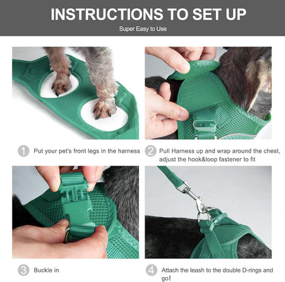 Fida adjustable extra small vest harness on small breed puppy close up