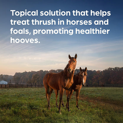 Zoetis Kopertox liquid topical solution for horse and foal thrush care