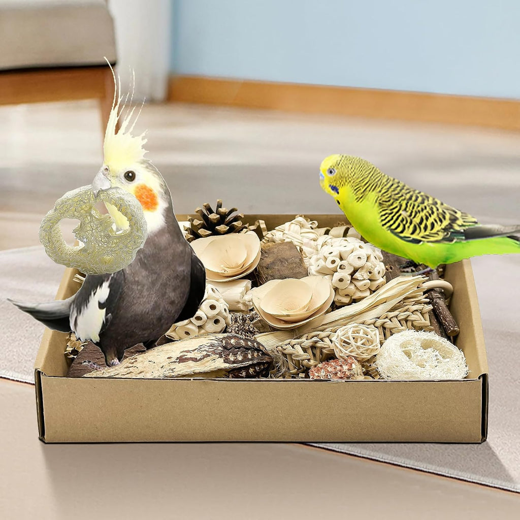 Natural Bird Toy Foraging Parrot Shredding Toys Box Conure Chewing Toys for Cockatiel Lovebird Parakeet Budgie Small-Medium Birds (Nature Color) - Image 9