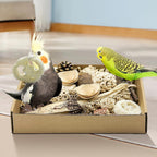 Natural Bird Toy Foraging Parrot Shredding Toys Box Conure Chewing Toys for Cockatiel Lovebird Parakeet Budgie Small-Medium Birds (Nature Color) - Image 9
