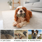 All For Paws grey and brown squirrel stuffed animal toy for puppies