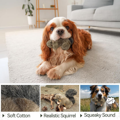 All For Paws grey and brown squirrel stuffed animal toy for puppies