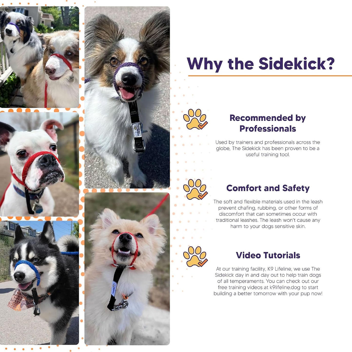 Sidekick headcollar mini size for small dogs under 25 pounds