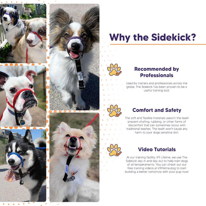 Sidekick headcollar mini size for small dogs under 25 pounds