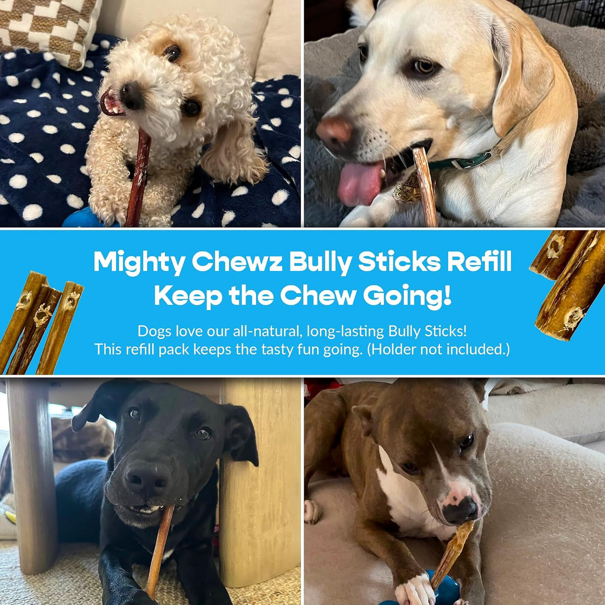 Safe non-choking beef chew treats for dogs