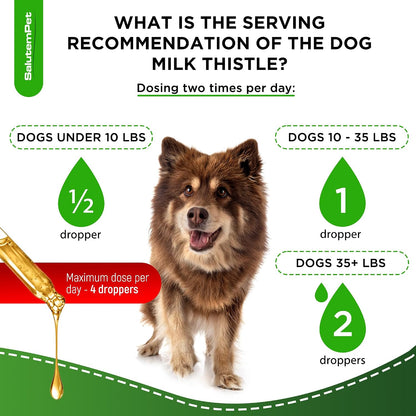 USA imported milk thistle liquid drops for senior dog organ support.