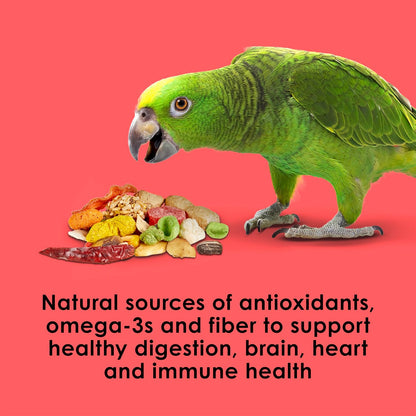 Kaytee Fiesta parrot food bag showing brand logo
