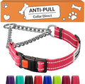 CollarDirect Reflective Martingale Dog Collar front view in pink nylon showing stainless steel chain