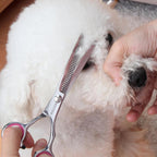 Dog Grooming Scissors with Safety Round Tips Stainless Steel Professional Dog Grooming Kit - Thinning, Curved Scissors and Comb for Cat Pet (Pink 4 in 1) - Image 9