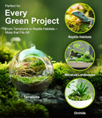 Educational display of sheet moss and sphagnum moss textures