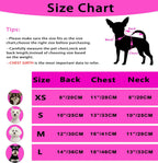 Puppishy imported winter pet clothes lifestyle image on a small puppy