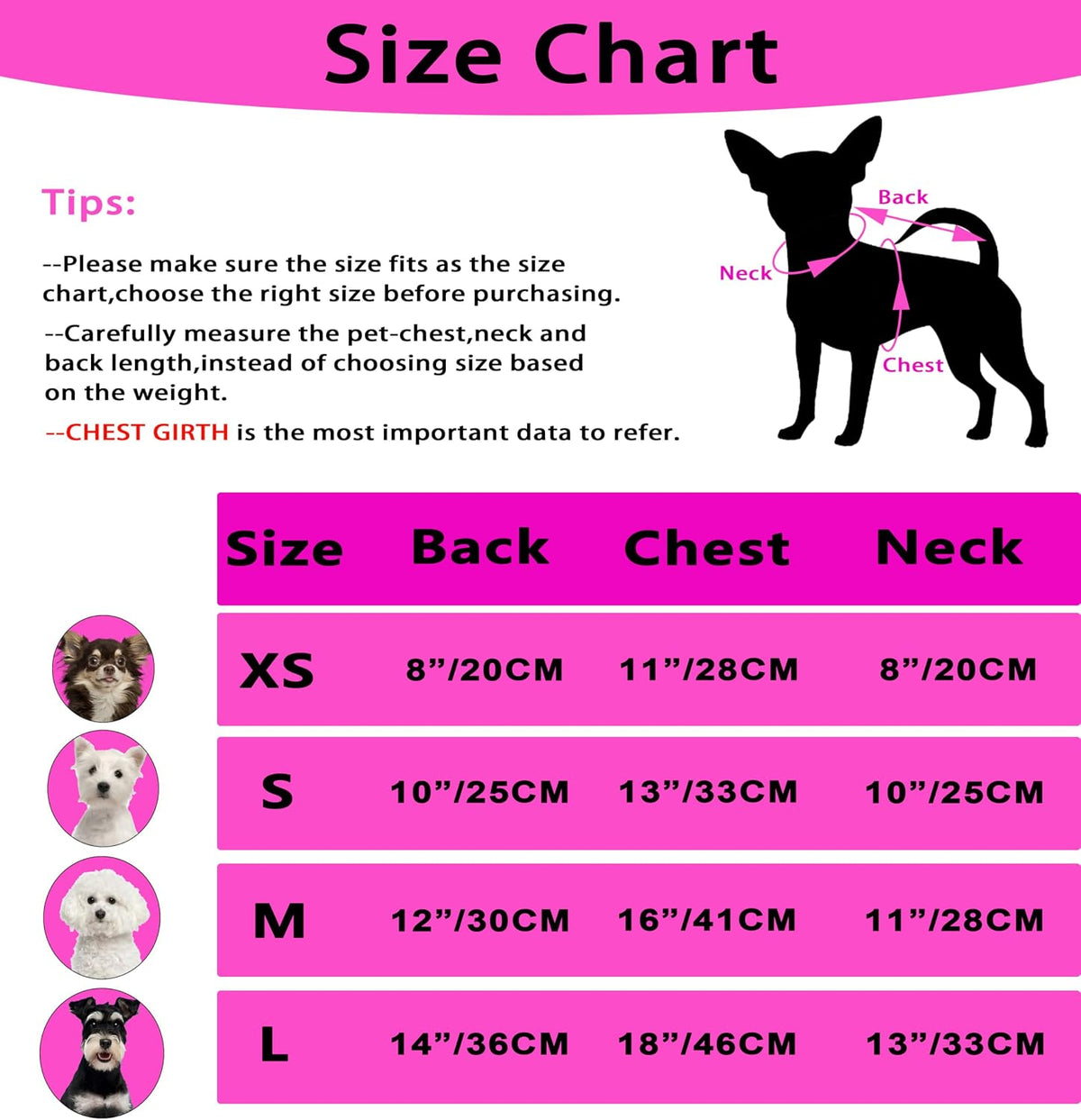 Puppishy imported winter pet clothes lifestyle image on a small puppy